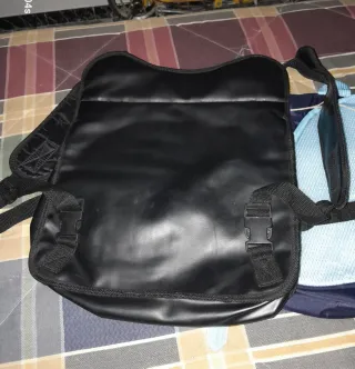 Lote 2 Mochilas Infantiles: Oso y Paw Patrol