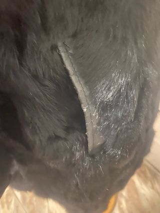 Abrigo Piel Conejo Negro Talla S.