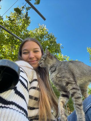 Servicio de cuidado de animales