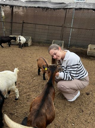 Servicio de cuidado de animales