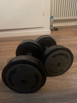 Mancuernas Technogym 8kg