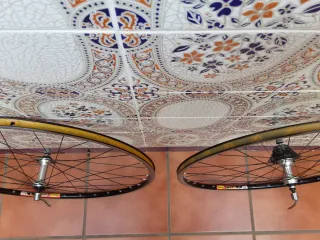 Ruedas Mavic/Campagnolo
