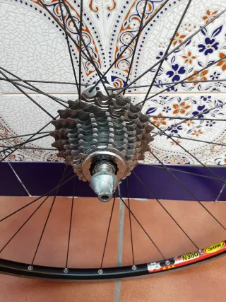 Ruedas Mavic/Campagnolo