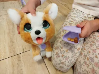 Perro Juguete pooalot