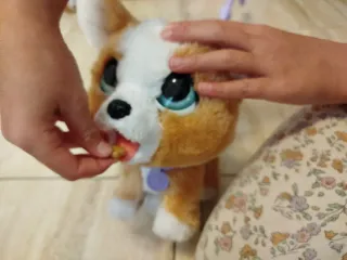 Perro Juguete pooalot