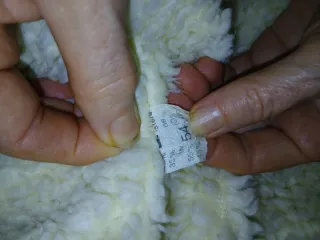 Parka/eskimo con pelo sintetico anni '70 tg.54 IT