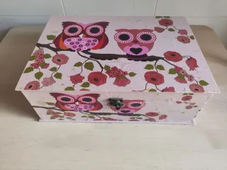 Caja Decorativa Búhos Flores