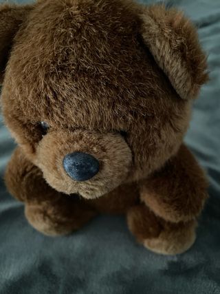 Osito de peluche marrón