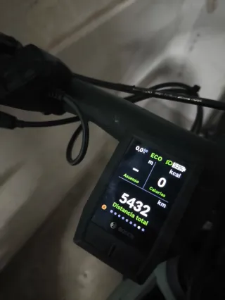 Bicicleta Eléctrica FOCUS THRON 6.9M