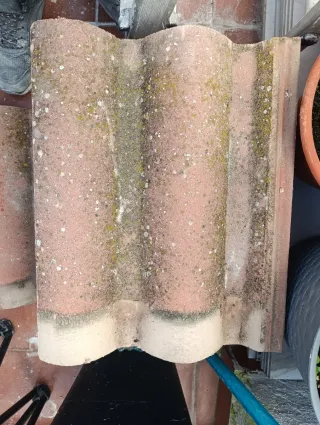 Tejas de cerámica para tejado sobre 430 unidades