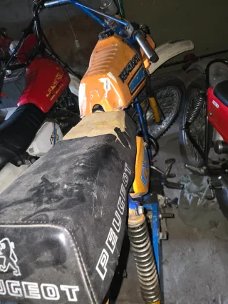 Peugeot CXE/SX5 50cc ciclomotor