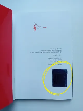 Lasciami volare Dialogo per i figli