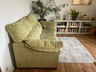 Sofá verde de terciopelo