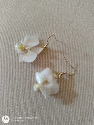 Pendientes Orquídeas Naturales