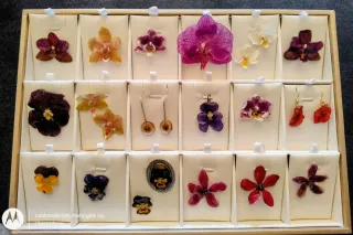 Pendientes Orquídeas Naturales