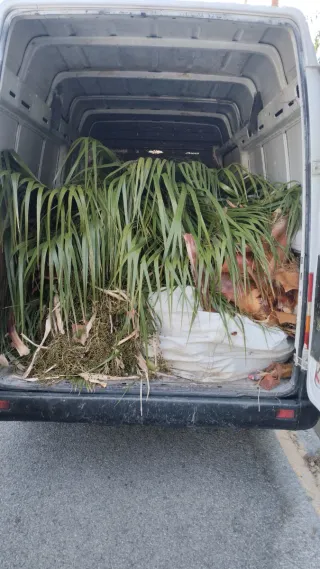 Raccolta di potatura