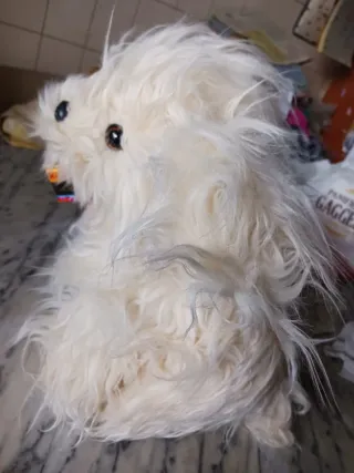 Kodak cane pubblicitario peluche 40cm con rullino