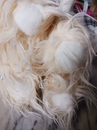 Kodak cane pubblicitario peluche 40cm con rullino