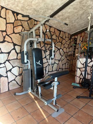 Máquina de pesas y calistenia