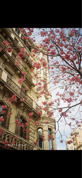 Nikon L35AF con filtro UV