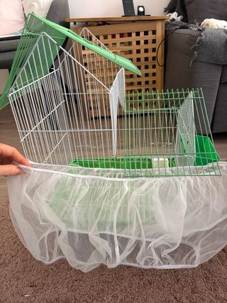 Jaula para pájaros verde