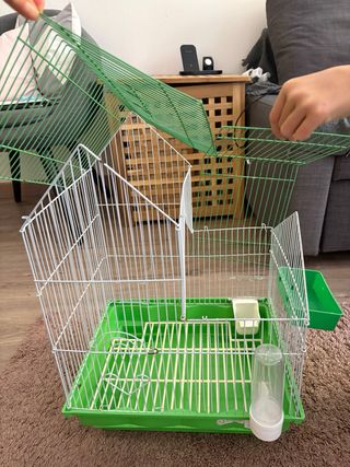 Jaula para pájaros verde