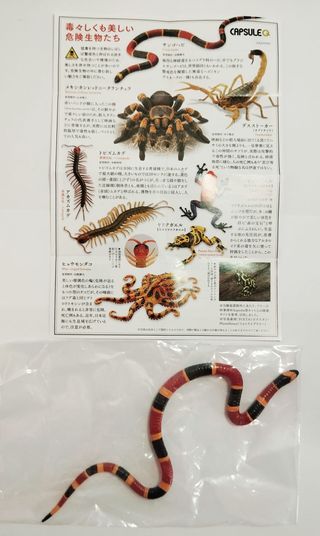 Kaiyodo Capsule Q Museum Toxic & Dangerous Animals