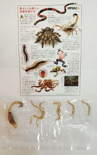 Kaiyodo Capsule Q Museum Toxic & Dangerous Animals