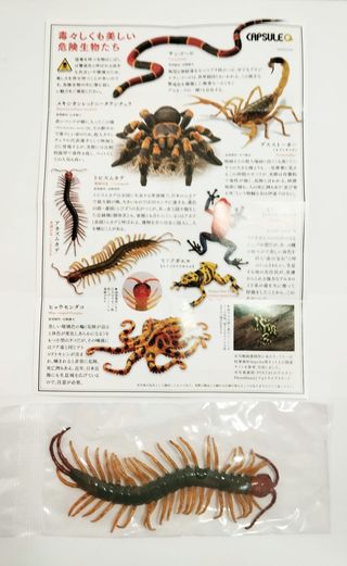 Kaiyodo Capsule Q Museum Toxic & Dangerous Animals