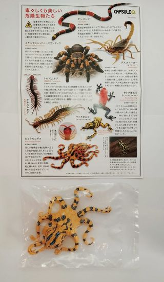 Kaiyodo Capsule Q Museum Toxic & Dangerous Animals