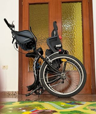 Bicicleta familiar 2 sillas para niños