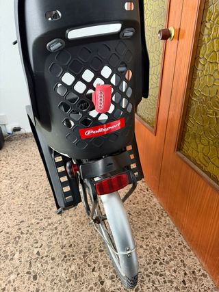 Bicicleta familiar 2 sillas para niños