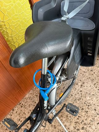 Bicicleta familiar 2 sillas para niños