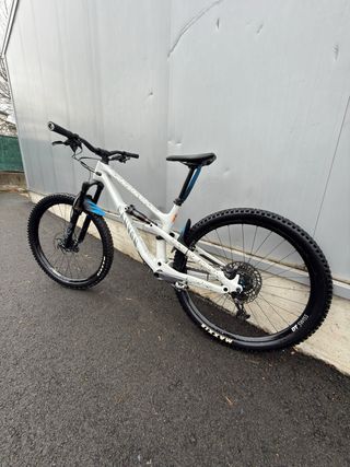 Canyon Spectral CF7 29”