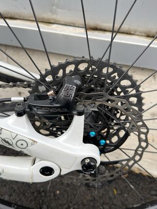 Canyon Spectral CF7 29”