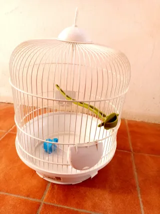 Jaula para pájaros blanca