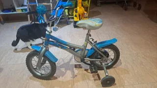 Bicicleta infantil azul con ruedines