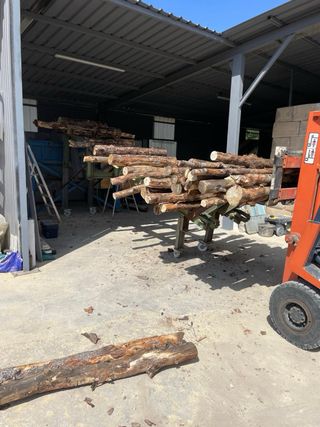 Planta Fabricación Viruta y Serrín