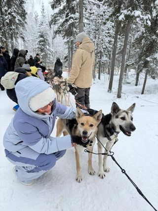 Conjunto The North Face Nieve Azul/Gris