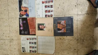 Lote Vinilos Julio Iglesias Vintage