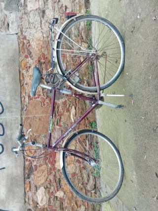 Bicicleta Zeus