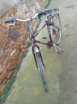 Bicicleta Zeus