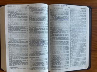 Biblia NASB Thinline Bible, Letra grande Piel