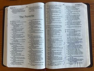 Biblia NASB Thinline Bible, Letra grande Piel