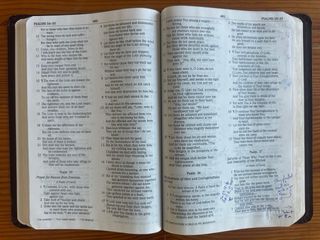 Biblia NASB Thinline Bible, Letra grande Piel