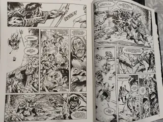 Reino Salvaje de Conan - Lote 33 Comics