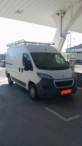 pejou bóxer boxer 2019