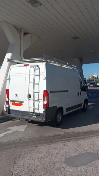 pejou bóxer boxer 2019