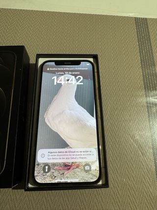 iPhone 12 Pro 128GB Plata + Fundas