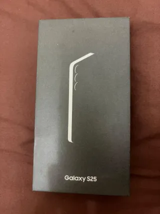 Samsung Galaxy S25 256GB Plata